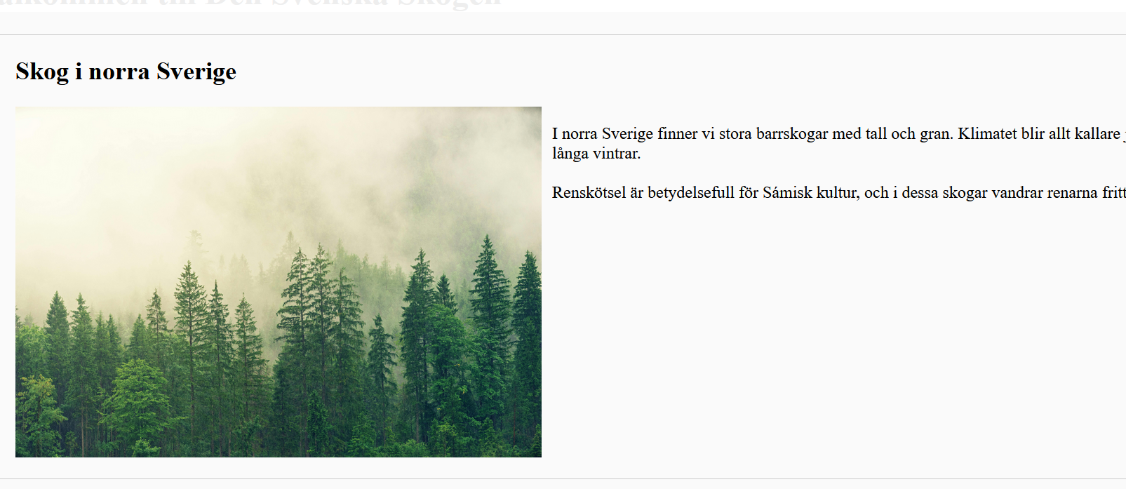 bild på svensk skog