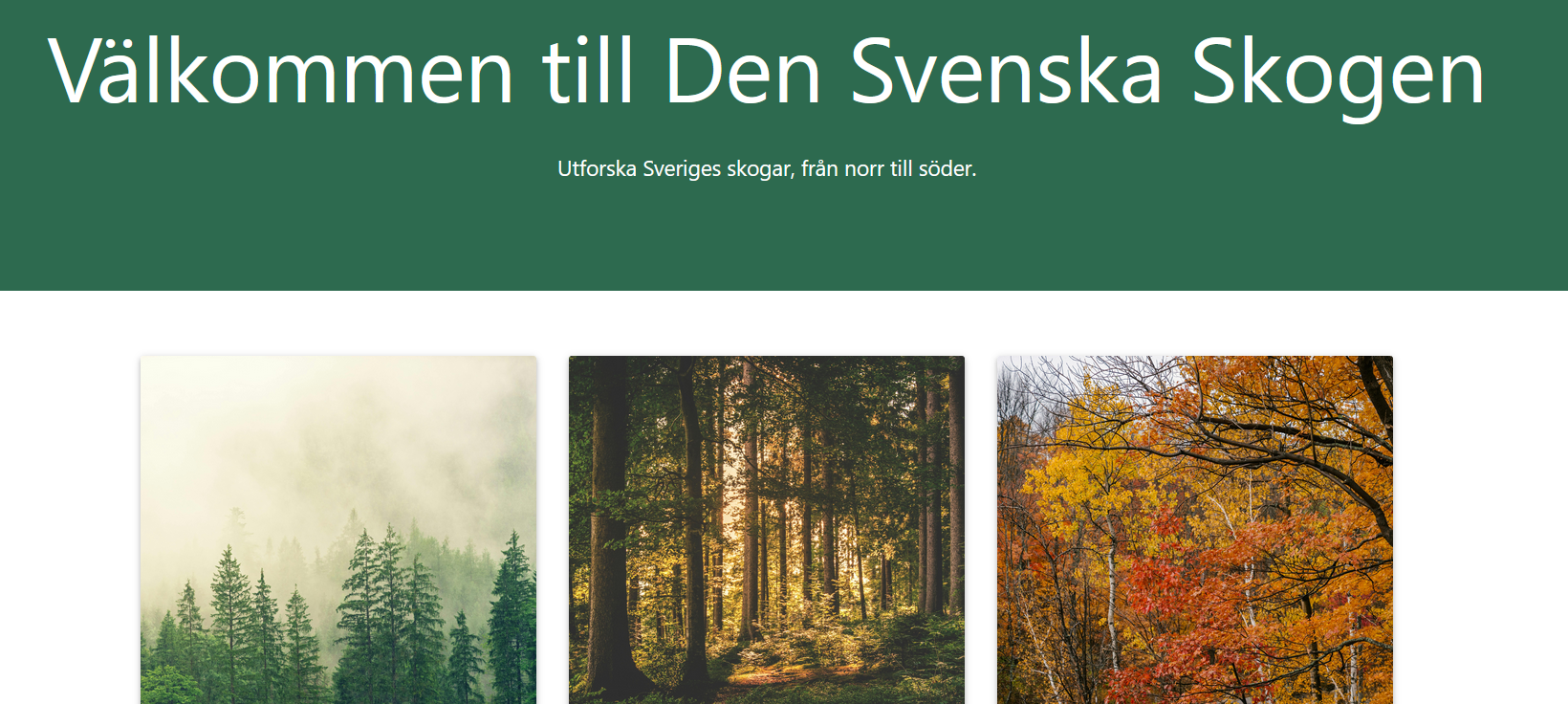 bild på svensk skog med materialize